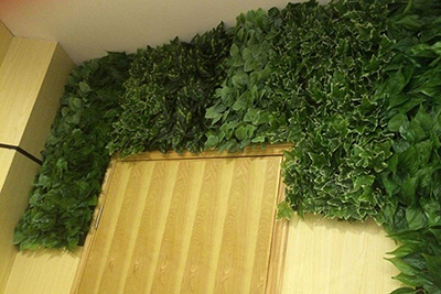 办公室植物墙