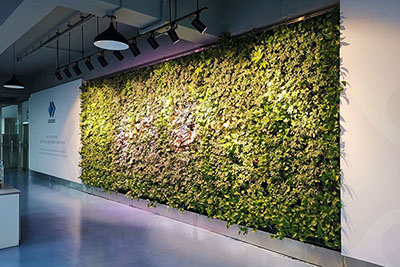 室内绿植墙+文化墙